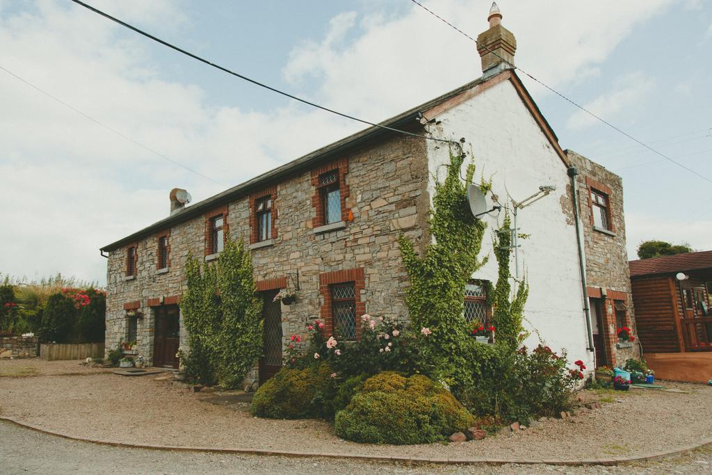 Bective Mill B&B Kilmessan Ngoại thất bức ảnh