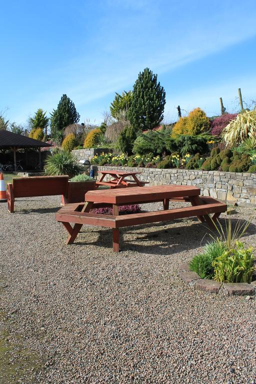 Bective Mill B&B Kilmessan Ngoại thất bức ảnh